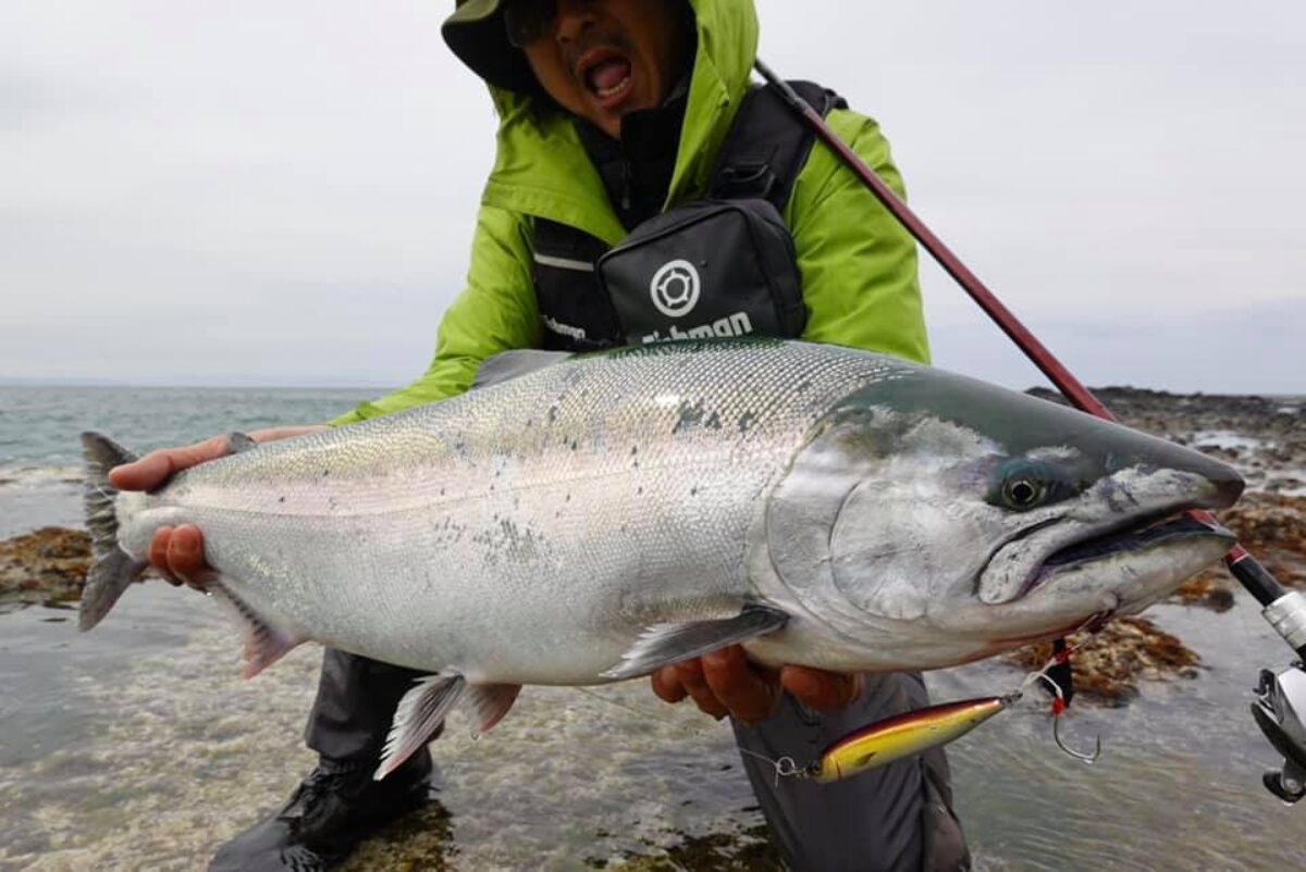 釣れない時間帯でもサクラマスが反応する？ここぞという時のジャーキングメソッド - Fishman（フィッシュマン）