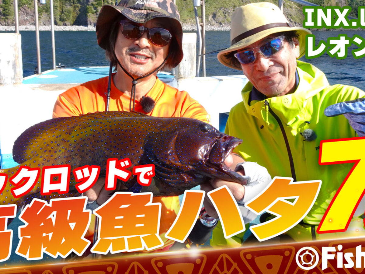 【FishmanTV】INX label×Fishman　パックロッドで高級魚7連発のお手軽ハタゲーム🎣【公開しました】