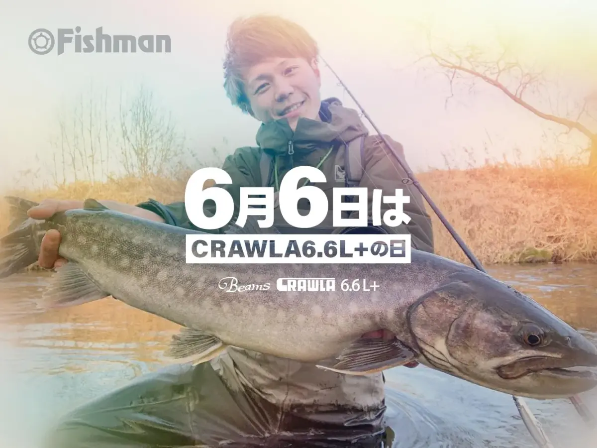 セール必勝法 Fishman Beams CRAWLA 6.6L＋ フィッシュマン | paraco.ge