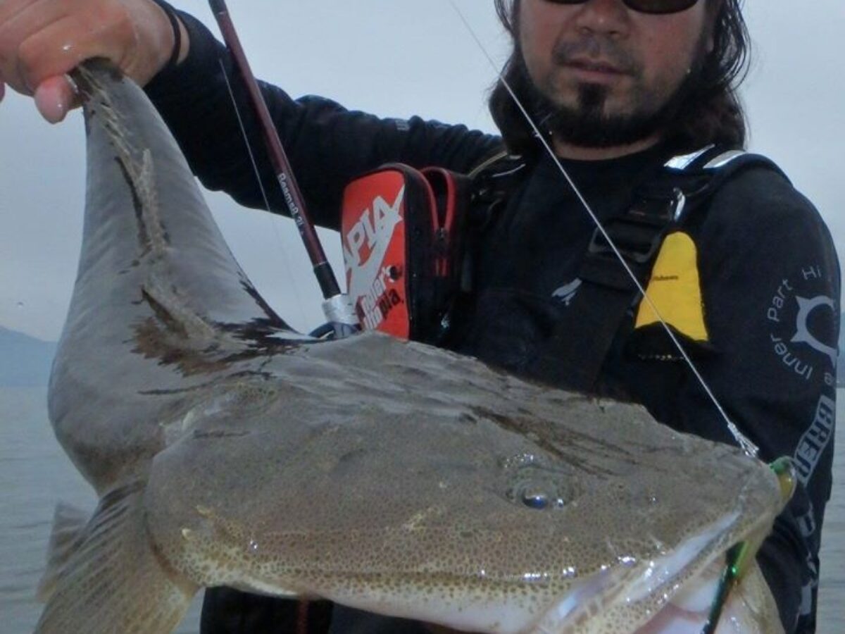 83L+で最もやってみたかった釣りは河口域干潟でのマゴチ釣り 