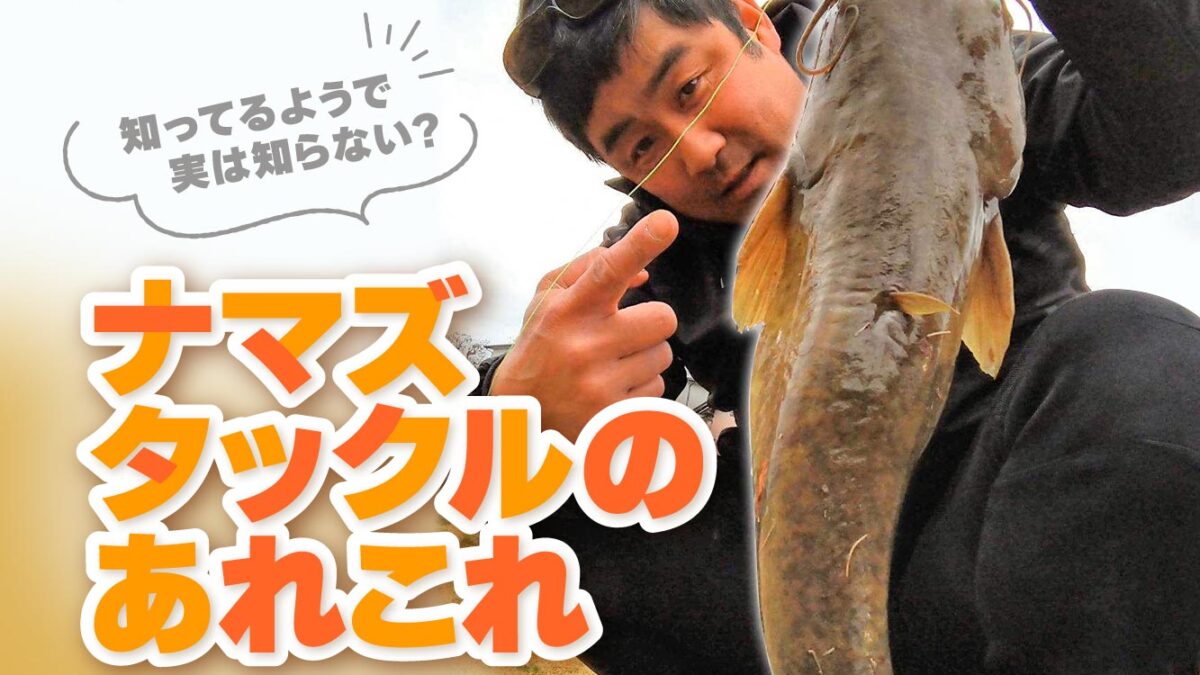 知ってるようで実は知らない？最新ナマズタックルのあれこれ