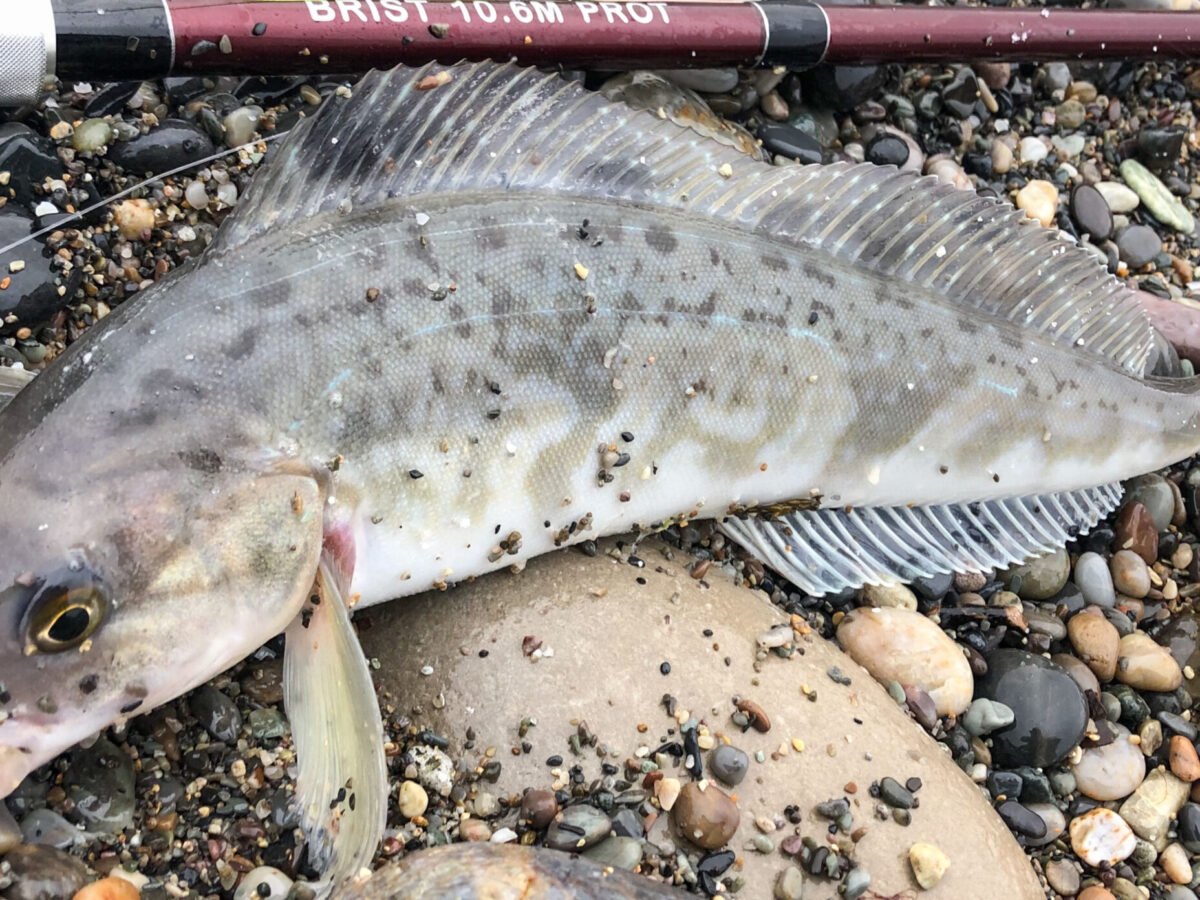 北海道の極寒期に大会参戦を通して使用したFishmanロングベイト3機種の使い分けについて。 - Fishman（フィッシュマン）