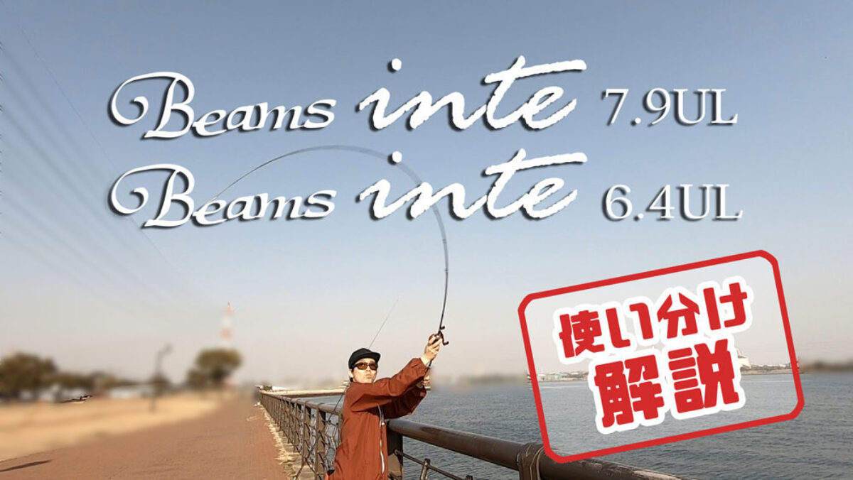 Beams inteシリーズで迷うあなたへ