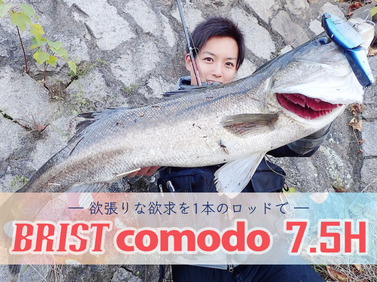 ロッドの反りがございますか【週末値下げ】fishman comodo 7.5H　コモド　75　新品未使用