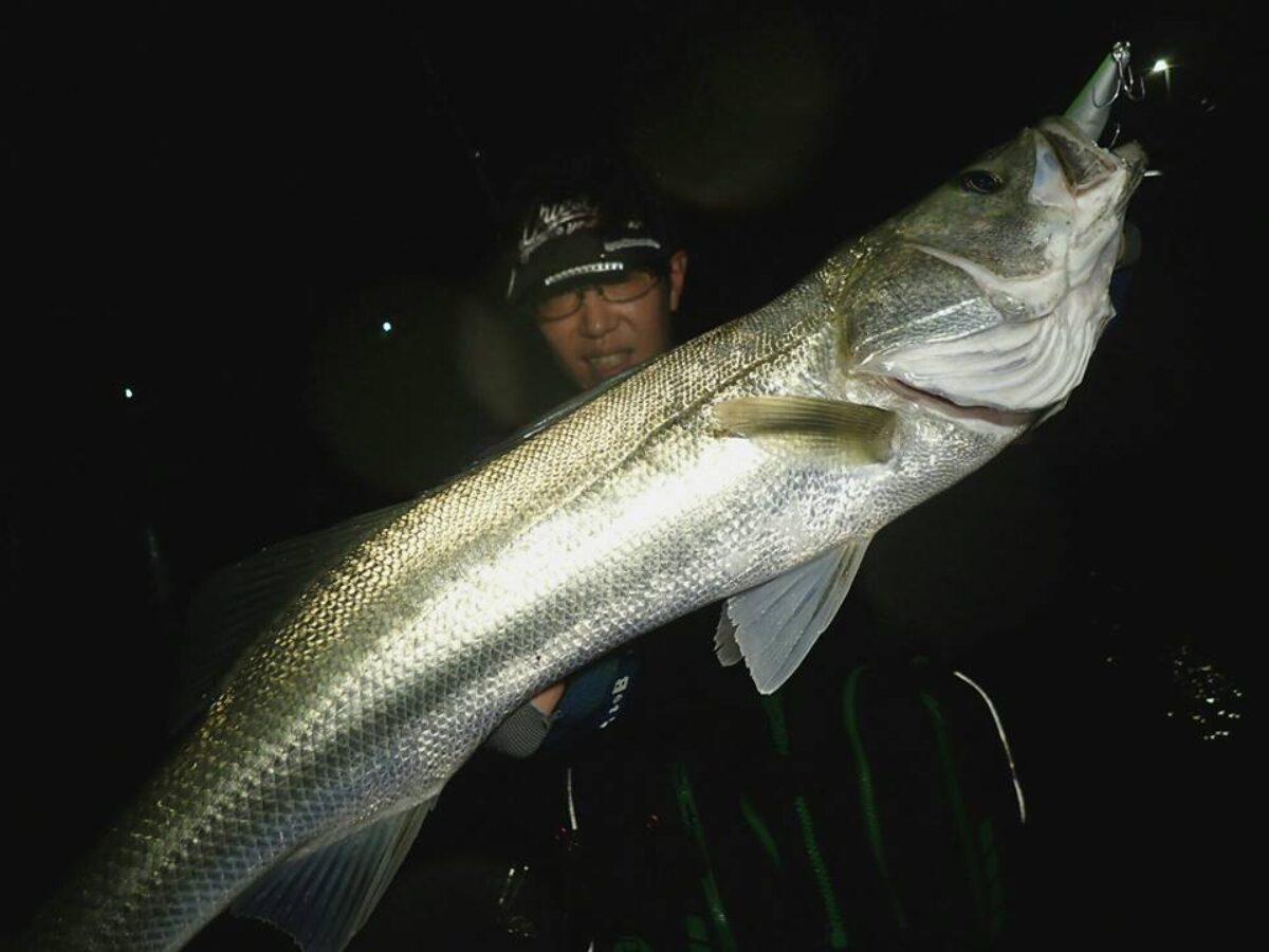 ゲリラ豪雨に刺激されたボラの群れに湧く、大量のランカーシーバスの群れに遭遇！ - Fishman（フィッシュマン）