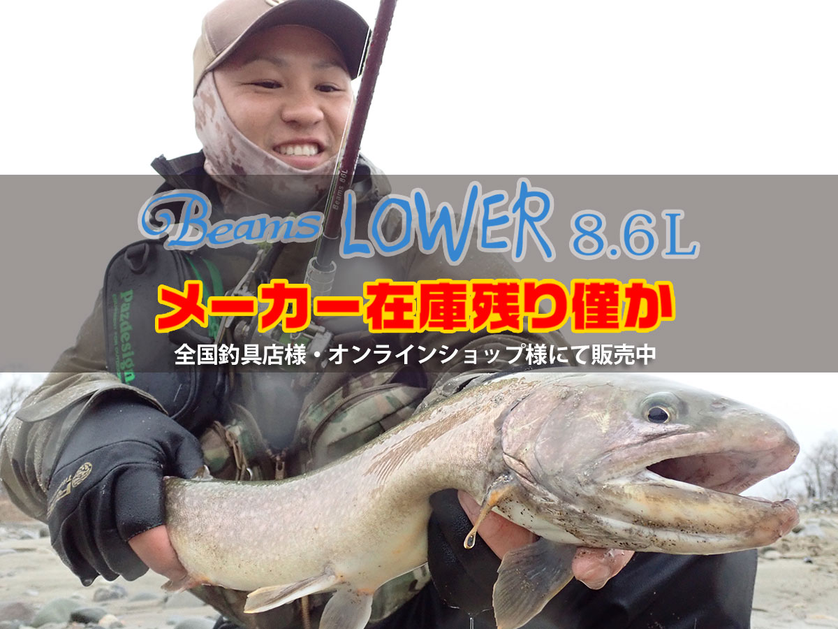 Beams LOWER8.6Lメーカー在庫残りわずか