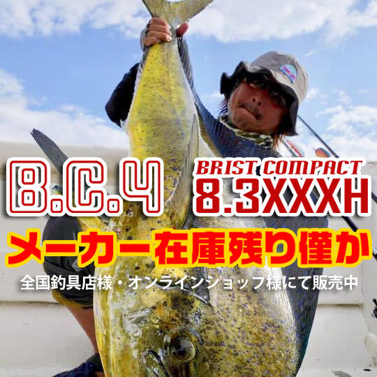 BC4 8.3XXXH メーカー在庫残りわずか