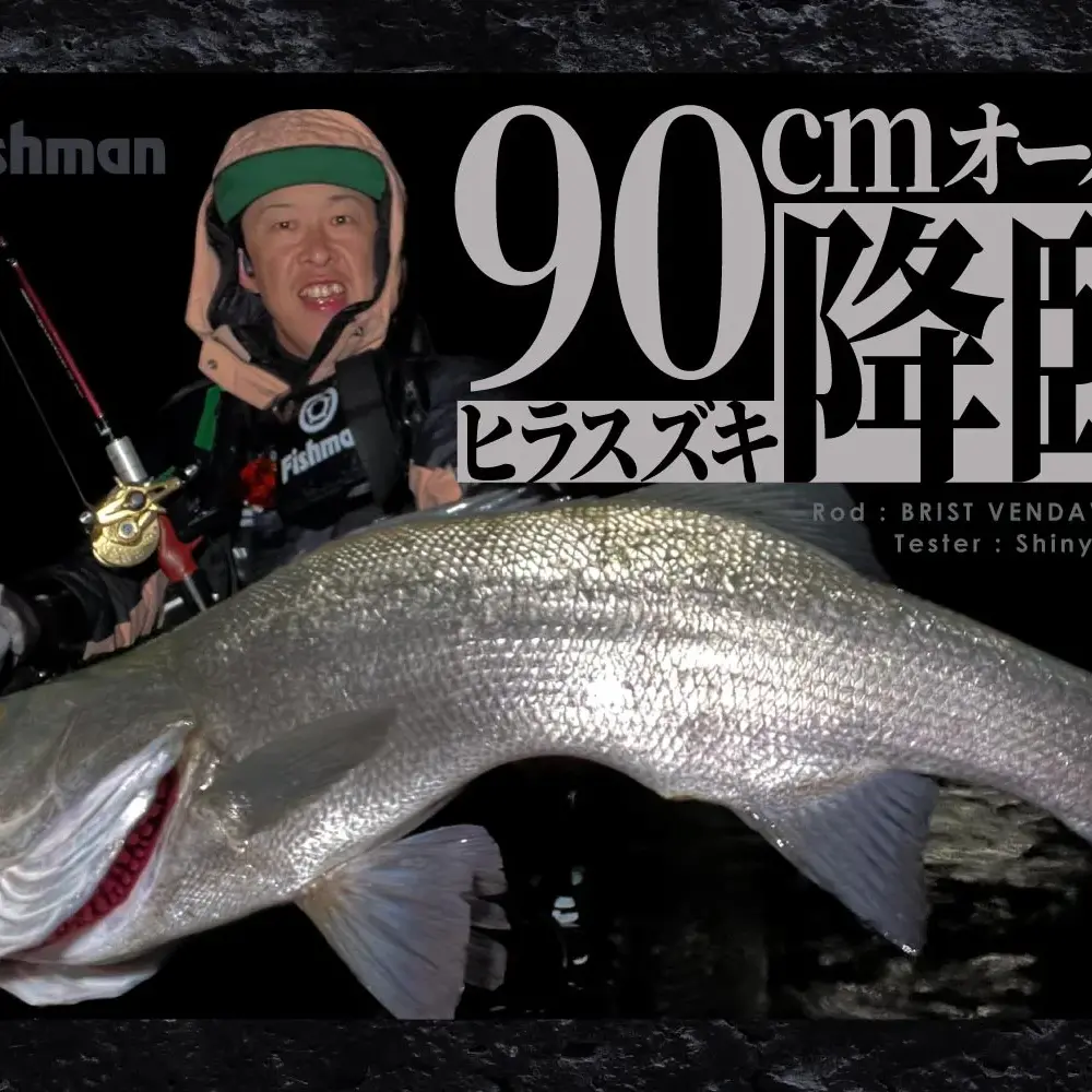 【90cmオーバー】モンスターヒラスズキ捕獲せり！やっぱりそこに奴はいた