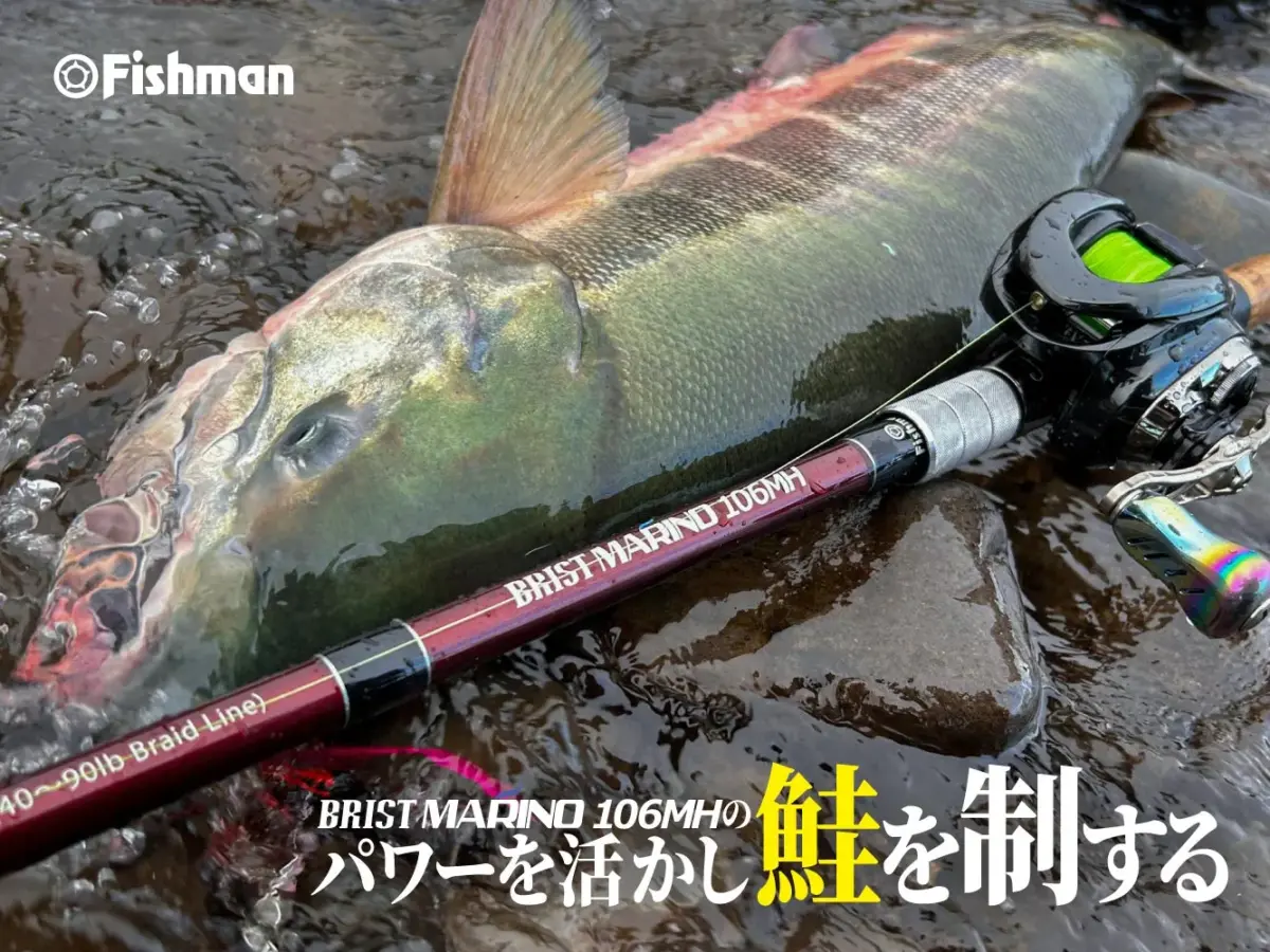ショッピング最安 Fishman BRIST MARINO 106MH | www.terrazaalmar.com.ar