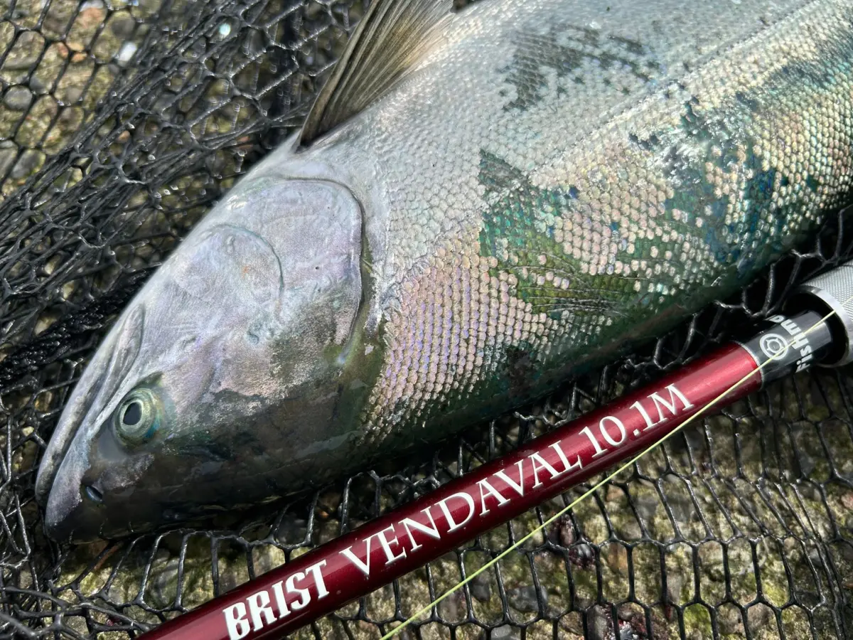 fishman BRIST VENDAVAL10.1M - ロッド