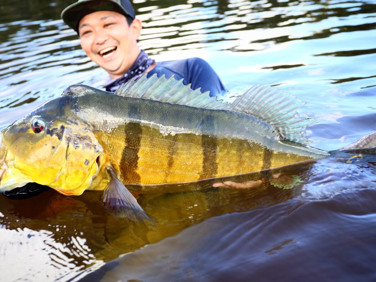 ジャングル生活！コロンビア オリノコ川で巨大ピーコックバスに夢中 - Fishman（フィッシュマン）