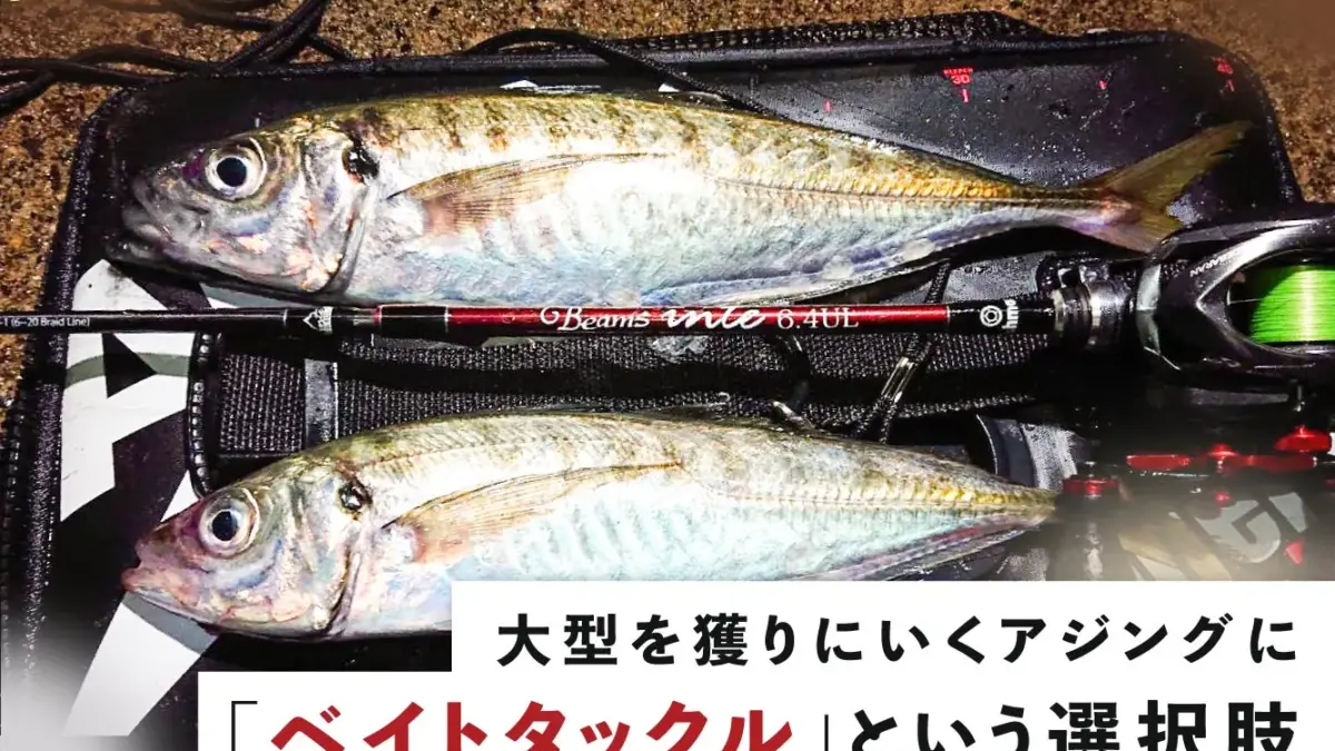 狙うはメガ～ギガ。大型を獲りにいくアジングに「ベイトタックル」という選択肢 - Fishman（フィッシュマン）