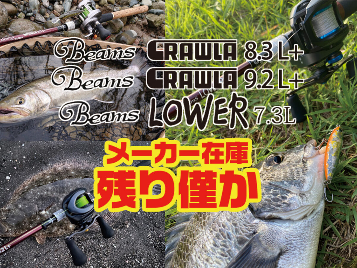 Fishman Beams CRAWRA8.3L + - ロッド