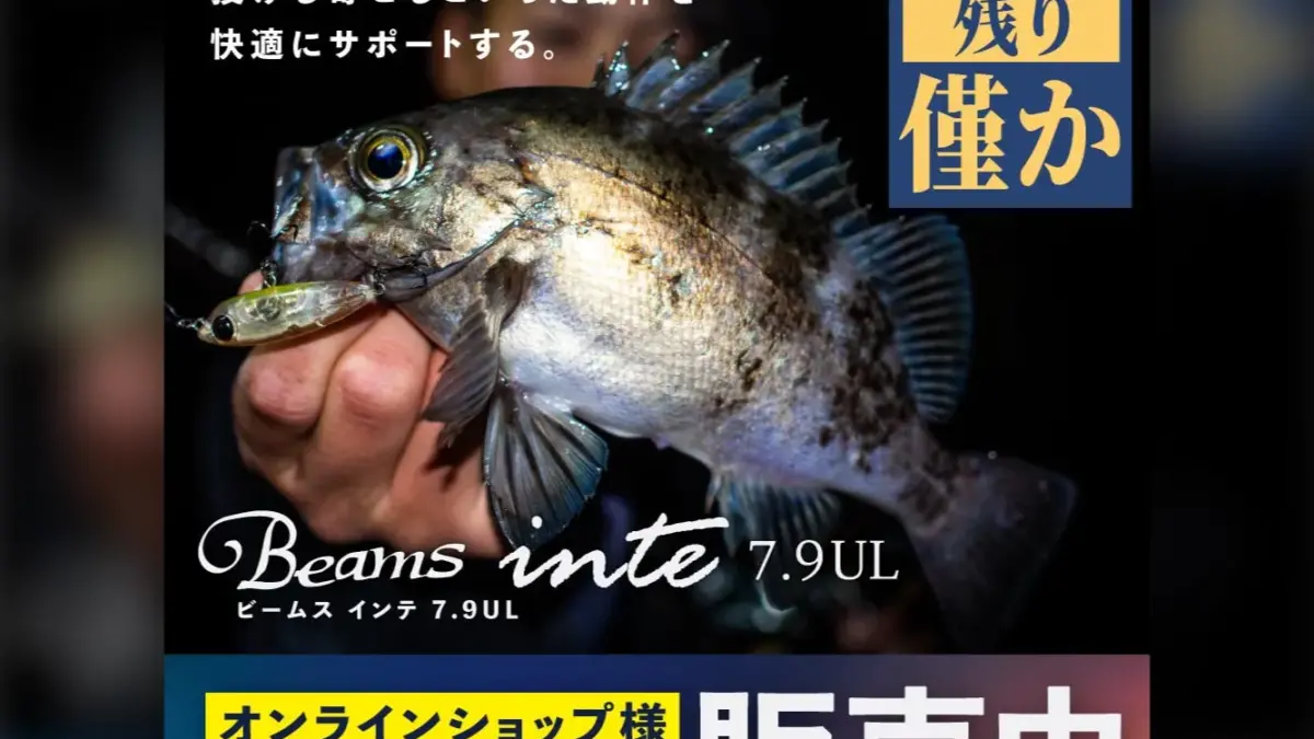 Beams inte7.9UL』メーカー在庫 残りわずか！ - Fishman（フィッシュマン）