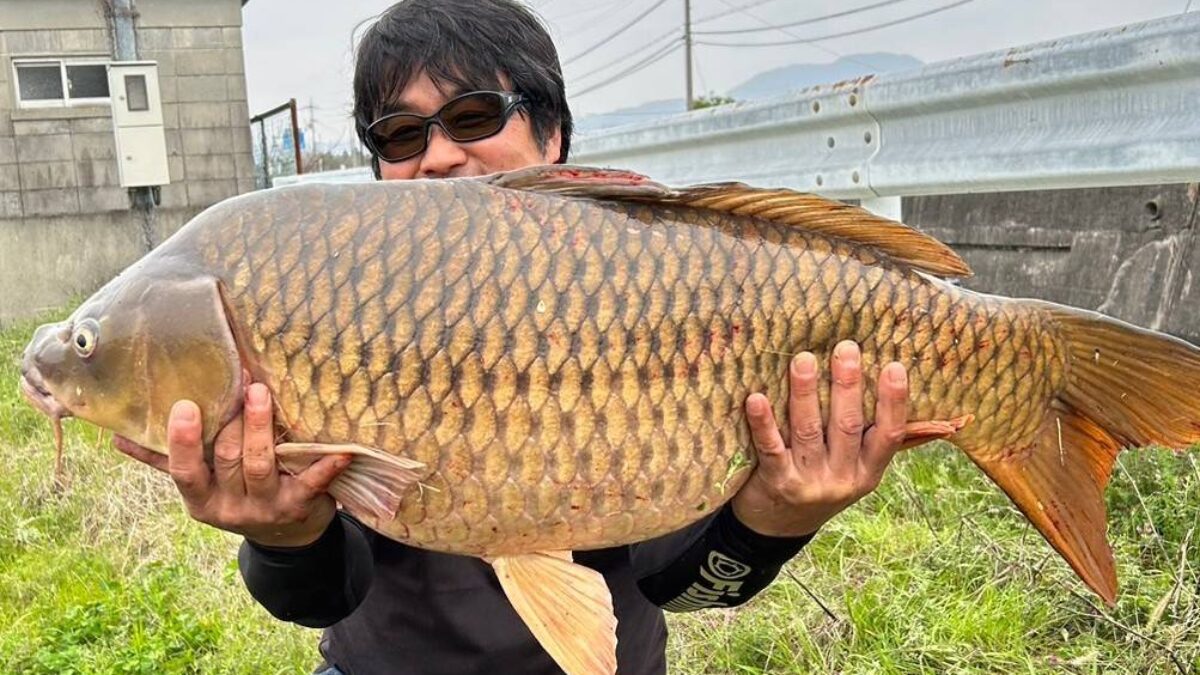 押し寄せる大鯉】手軽に楽しむカープフィッシングのススメ - Fishman（フィッシュマン）